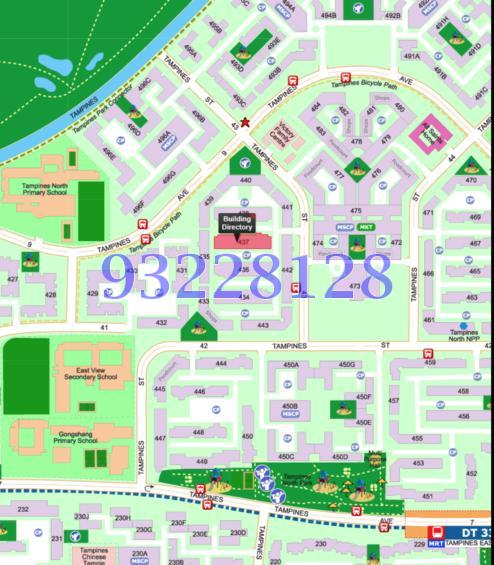 Blk 437 Tampines Street 43 (Tampines), HDB 3 Rooms #109684692